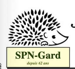 Screenshot 2025-05-24 at 15.31.04