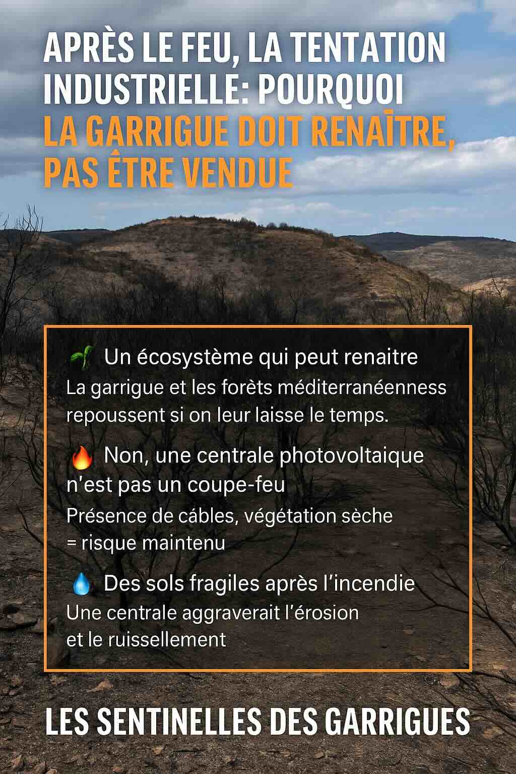 incendies dans l'aude